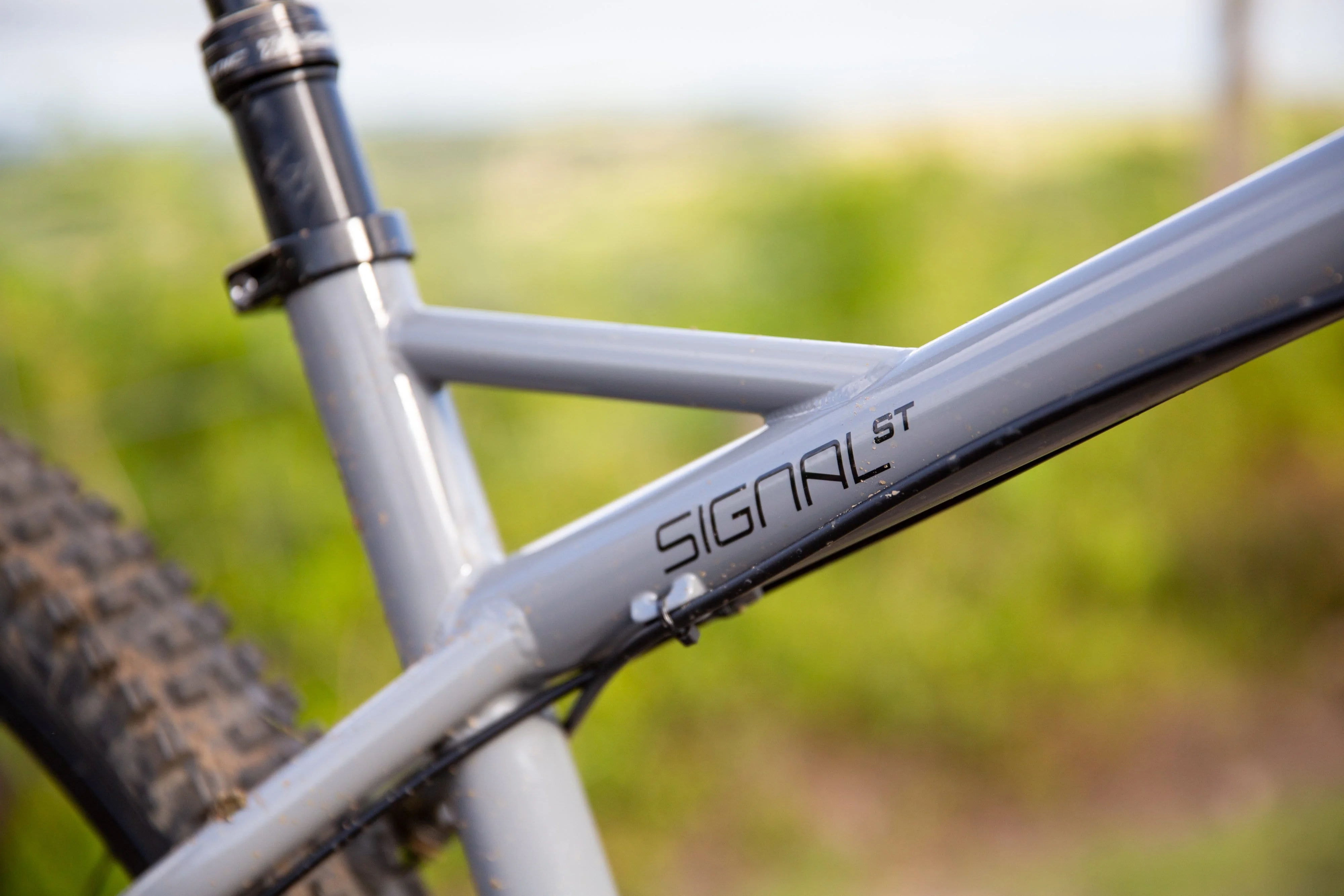 Signal ST NX Eagle - Image 5
